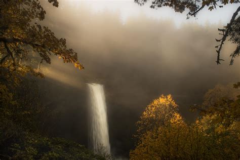 Crazy light beams and mist on a autumn morning at Silver Falls, OR