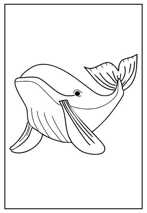 Baleia Para Pintar - Desenhos de Baleia para colorir e pintar - Pinte Online