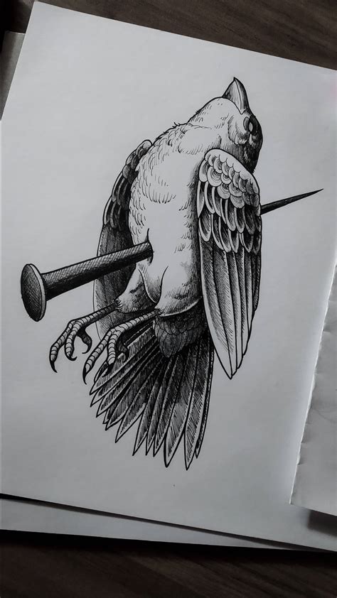 Dead Bird : r/drawing