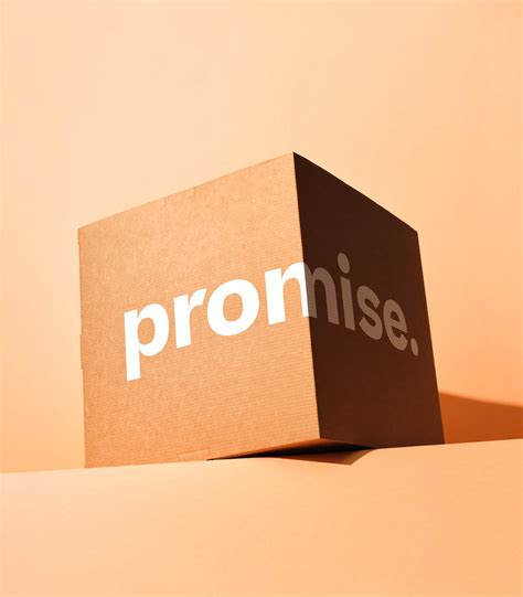 promise behance