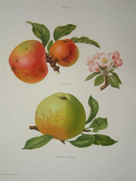 The anderson mcdaniel funeral home pomeroy has a unique history 31