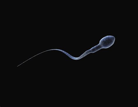 Sperm from Stem Cells: First Sperm Made in a Lab | TIME