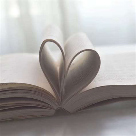erotic literature novels  set  mood