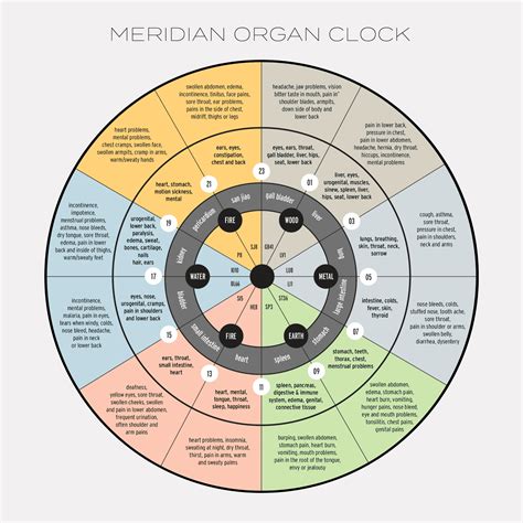 Chinese Body Clock Chart at Carroll Zabala blog
