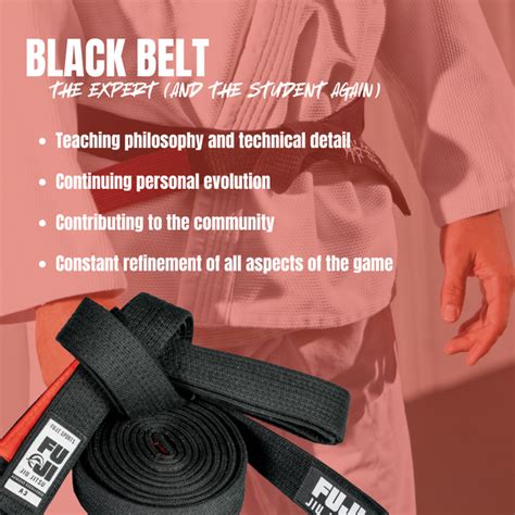 BJJ Belt System Explained: What Each Rank Really Means – Jitsu Armor