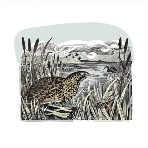 Angela Harding | Linocut Print | Bittern and Wetlands