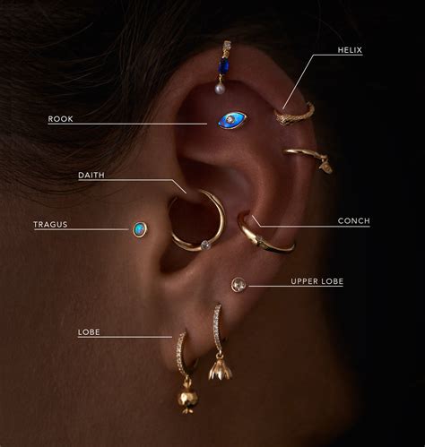 ear piercing types chart great piercing ideas