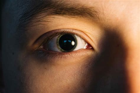 The Pupil: What It Is & Why We Have it