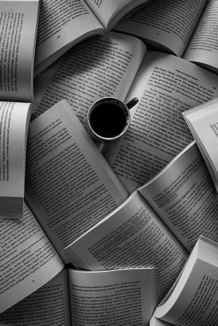 literary conceptualism    origin characteristics  authors