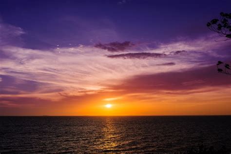 afternoon  spanish english  spanish translation