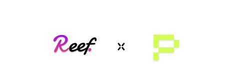 reef finance medium