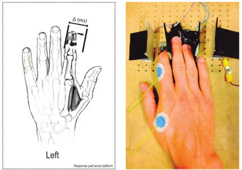 response device response device  finger position