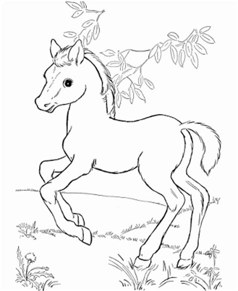 Pretty Horse Coloring Pages at GetColorings.com | Free printable ...