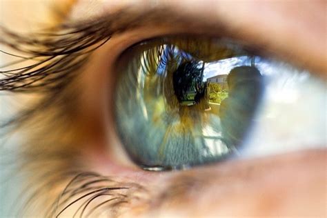 Light and sight – introduction — Science Learning Hub