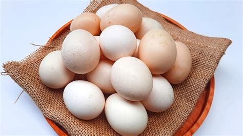 telur ayam kampung segar  nampan kayu  dukungan goni