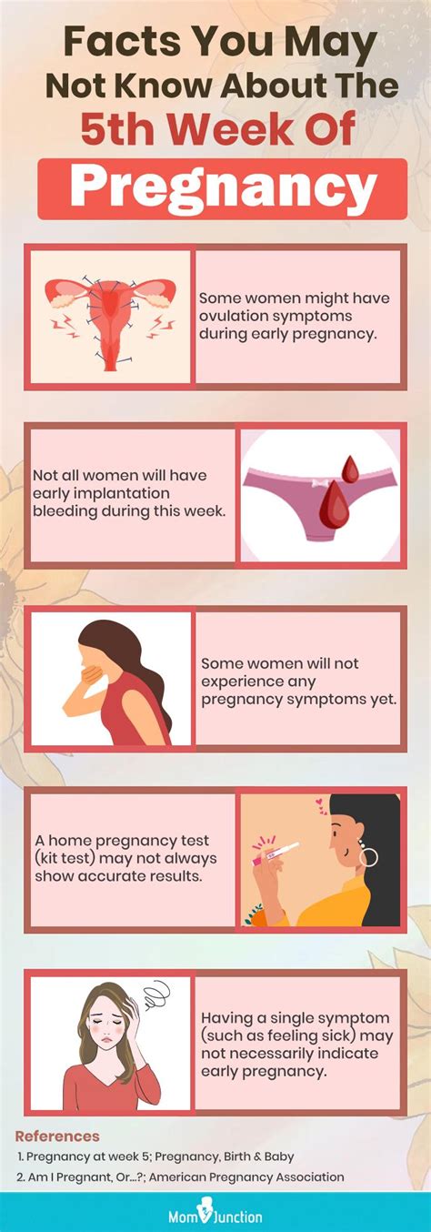 Pregnancy Symptoms Week 1