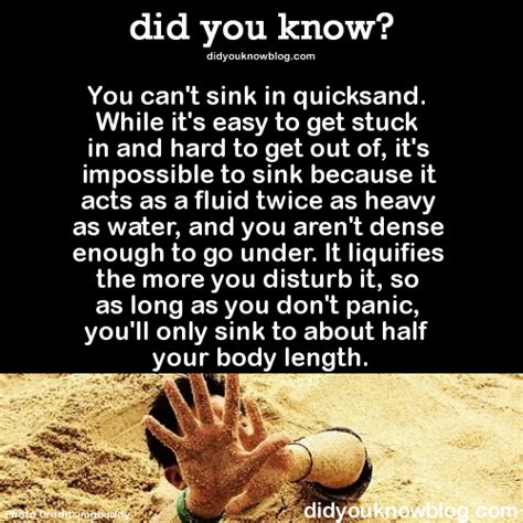 quicksand on Tumblr