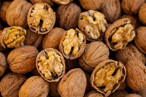 Health Benefits Of Walnut, Nutritional Information,Side Effects 