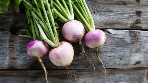 What Are The Different Types of Turnips?