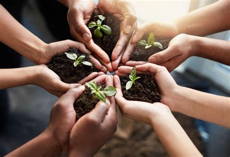 Supply chain outlook 2025: Key trends and risks to follow - Supply ...