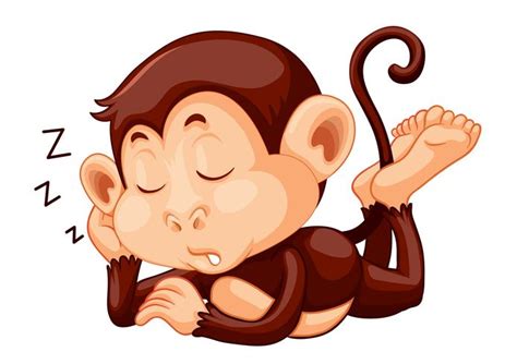 A monkey sleeping on white background 445194 Vector Art at Vecteezy