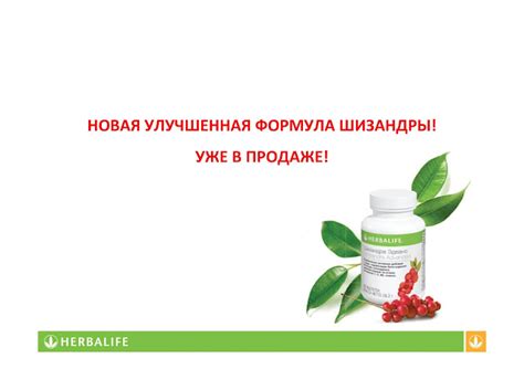 Шизандра