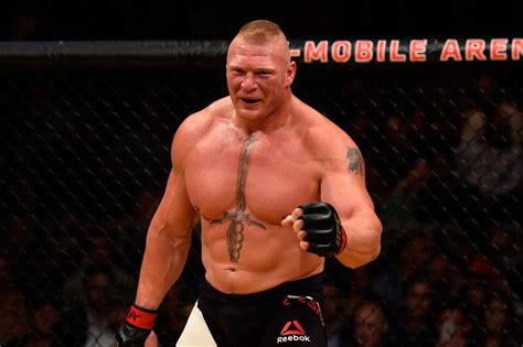 brock lesnar hit opponent  hard     roll  terrifying