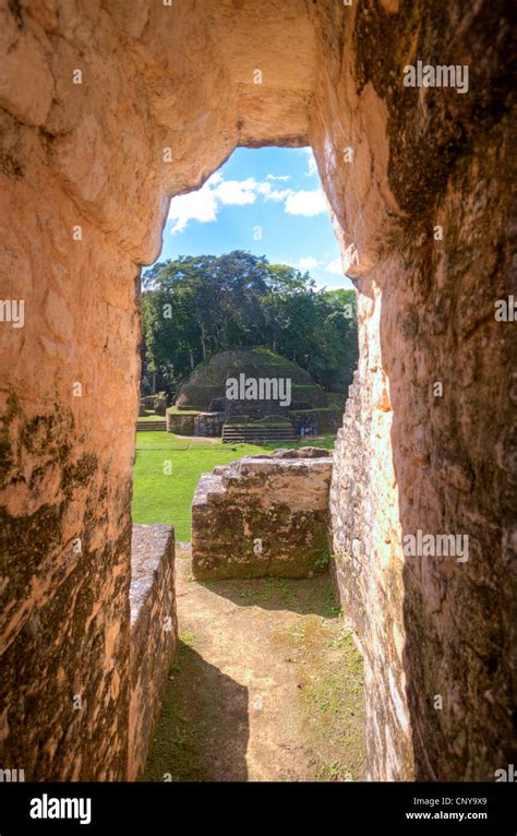 Caracol Maya ruins, belize Stock Photo - Alamy