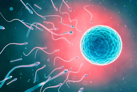 Fertility 101 - Advanced Women's Healthcare: Dallas OBGYN