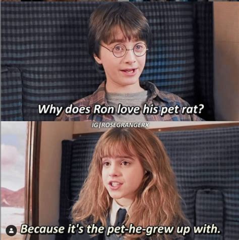 harry potter funny memes artofit