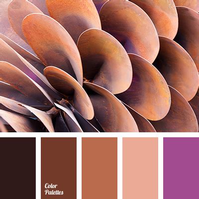 house color schemes color palette ideas
