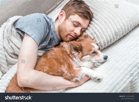 Young Man Dog Sleeping Bed Closeup Stock Photo 1310146300 | Shutterstock