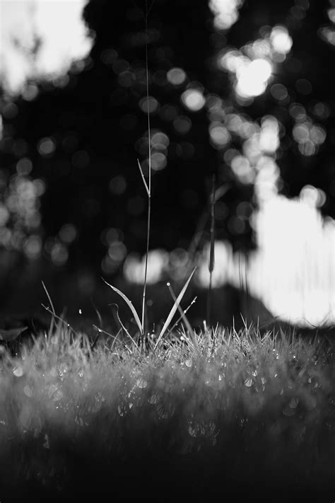 Girls+In+Wet+Panties Photos, Download The BEST Free Girls+In+Wet