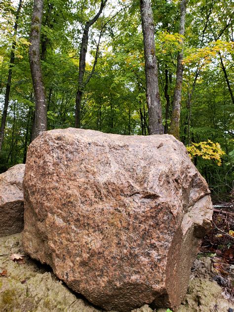 Big Rock In Forest Free Stock Photo - Public Domain Pictures