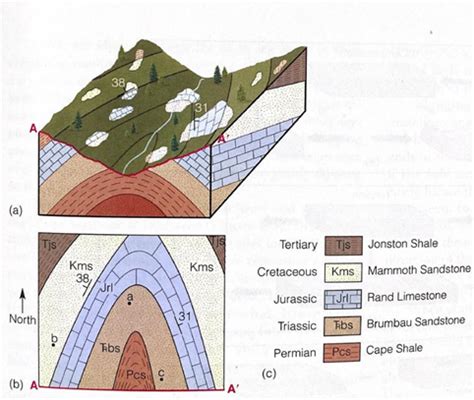 examine  simple geologic map  figure   cheggcom