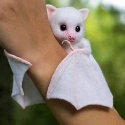 #albino-bat on Tumblr