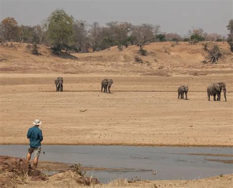 Gonarezhou National Park - Zambezi Expedition Tours