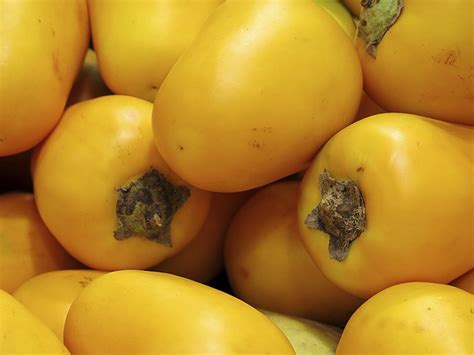 Cocona Fruit Info: Tips On Growing Cocona Fruit In The Garden ...