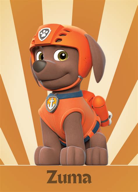 Qual A Raça Do Zuma Da Patrulha Canina - Placa Decorativa Do Zuma – Patrulha Canina – 20×28 – Mundo em Quadros