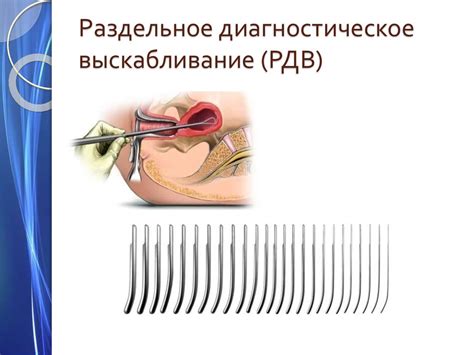 Студенческое хирургическое общество ПСПбГМУ им. акад. И.П. Павлова ...