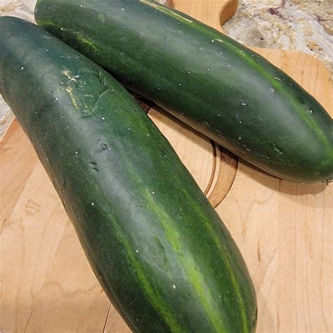 Crazy Cucumbers