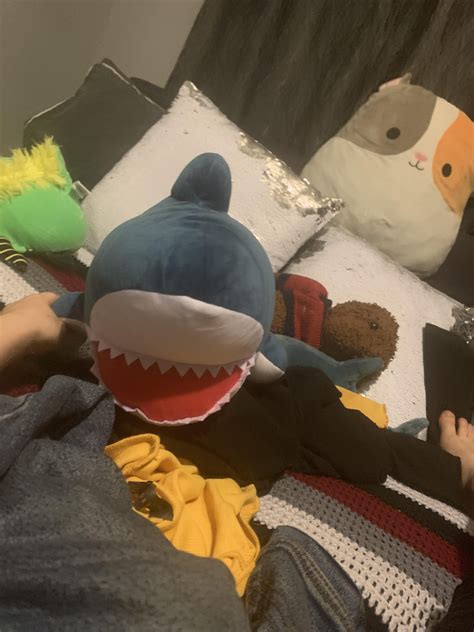 new friend today, ten dollars!! : r/sharks