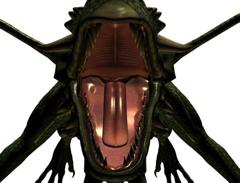 Dragon Maw Shot by Thecheese01 on DeviantArt