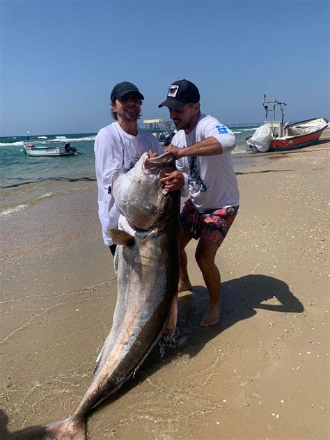 128 best Amberjack images on Pholder | Fishing, Spearfishing and Food Porn