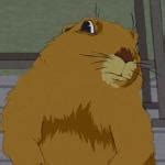 Dramatic gopher Meme Generator - Imgflip