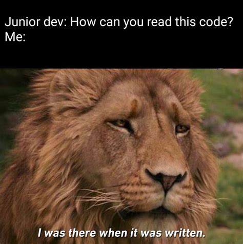 read code written  night  rprogrammerhumor