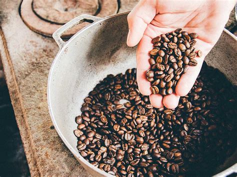 Descubriendo el café de Chihuahua: una experiencia única para los ...