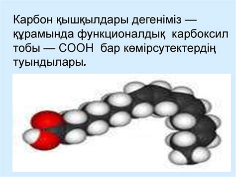 Карбон қышқылдары - презентация онлайн