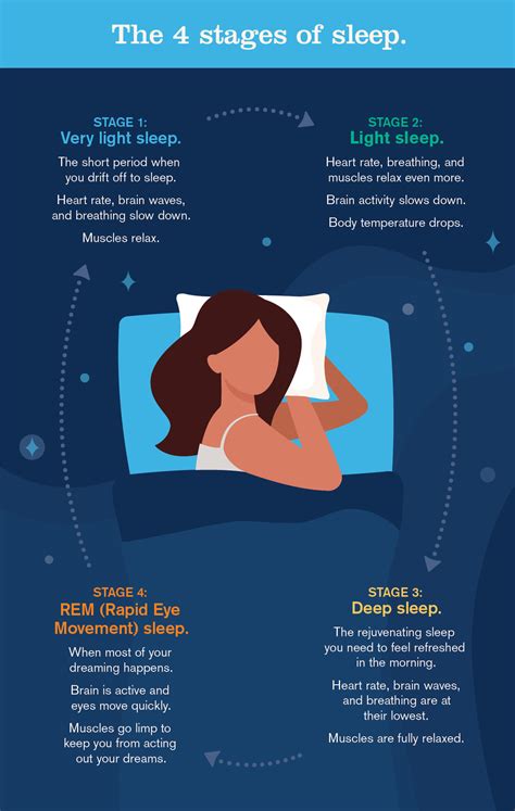 What Is The Function Of Sleep In Humans at Diane Straub blog