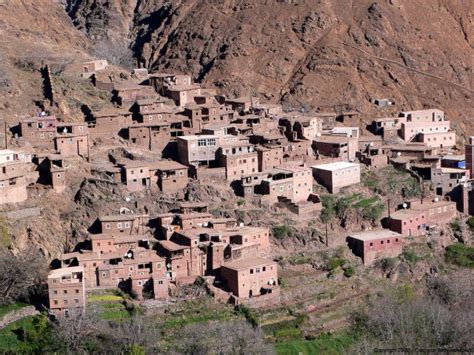 Берберы - кто они?: berbers — LiveJournal